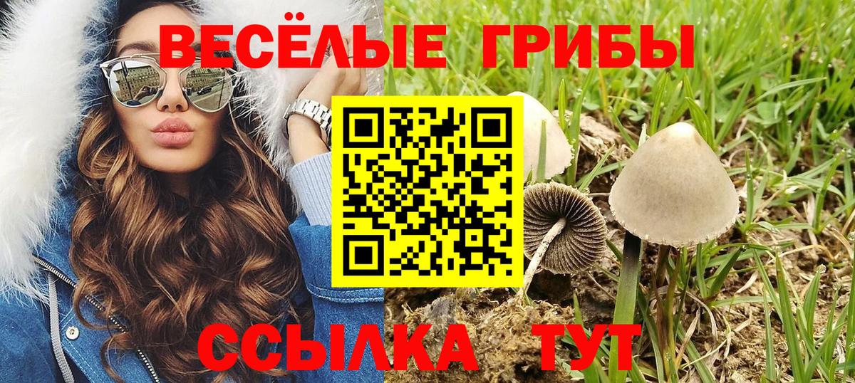 Псилоцибиновые грибы прущие грибы  Галлюциногенные грибы мицелий  Вход с VPN  Клин 